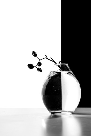 Vase with an alder branch on a black and white background.の写真素材
