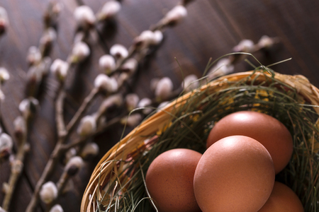 Still life with a pussy-willow and Easter eggs on a wooden background. Still life with a pussy-willow and Easter eggs on a wooden background.