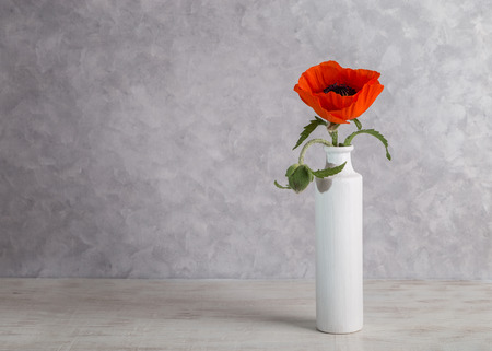 Image with poppy.の写真素材