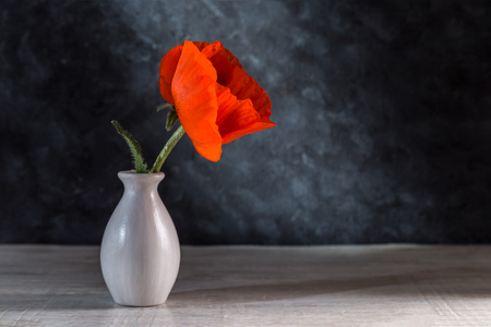Image with poppy.の写真素材