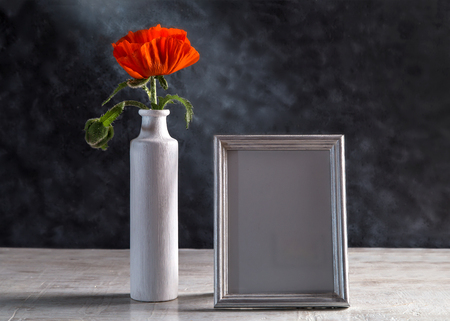 Image with poppy.の写真素材