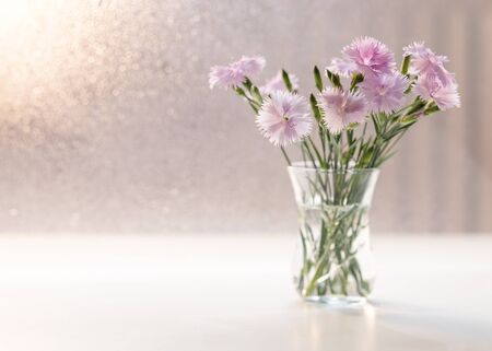 Bouquet of pink carnations with dew drops.