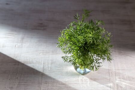 Dill in a transparent vase on a wooden table.の写真素材