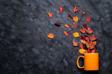 Image with autumn leaves.