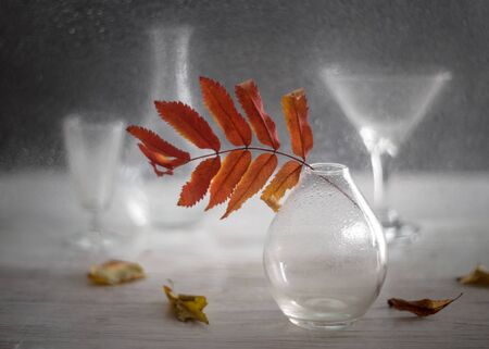 Rowan leaf in a vase on a background of glassware. Autumn still life.の写真素材