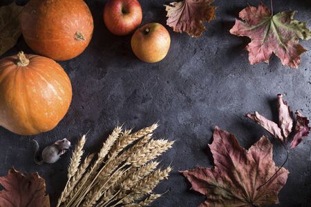 Thanksgiving Day. Rustic pumpkins and leaves on a dark background, copy spaceの写真素材
