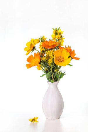 Bouquet of daisies, calendula in a white vase on a white background.の写真素材