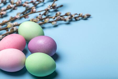 Happy Easter, Traditional colored eggs and willow on a blue background. Copy space.