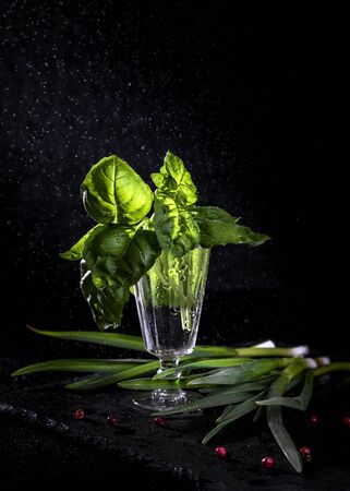 Leaves of basil and young garlic on a dark background.の写真素材