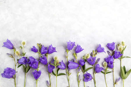 A bouquet of summer bells on a light background. Copy space.