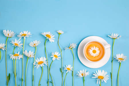 Herbal tea from chamomile flowers and a bouquet of daisies on a blue background. The concept of healthy tea.の写真素材
