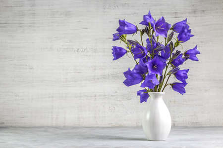 Bluebell flower in a white vase on a light background.の写真素材
