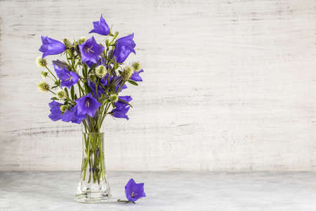 Bluebell flower in a white vase on a light background.の写真素材