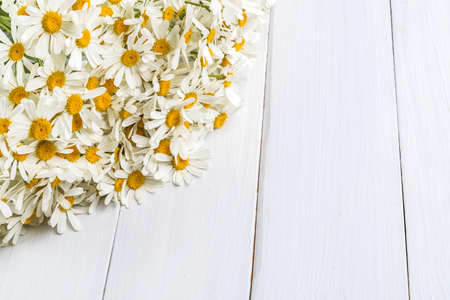 White daisy flowers on light boards. Beautiful spring composition, template for design, with copy space for text.の写真素材