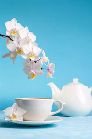 Tea in a cup and a white orchid on a blue background.の写真素材