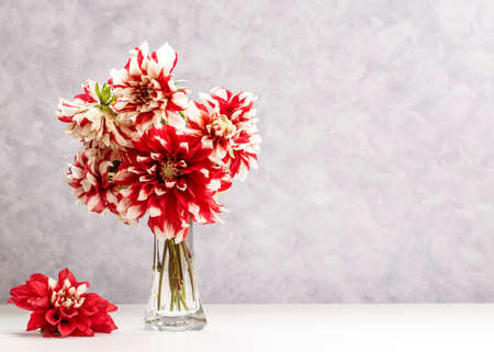 Bouquet of dahlias on a light background with copy space.