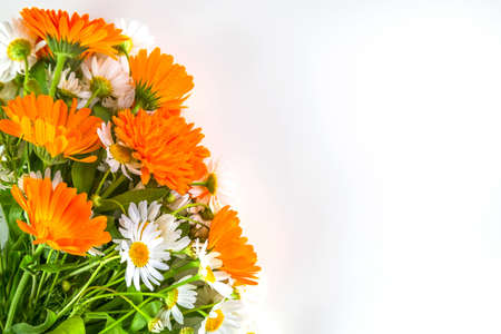 Bouquet of daisies, calendula  on a white background.の写真素材