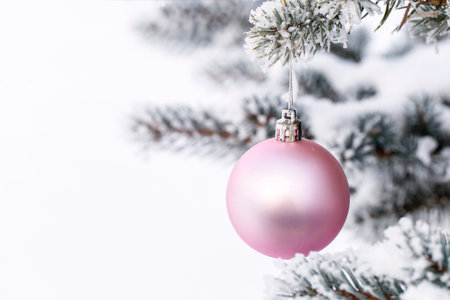 Pink Christmas ball on a pine branch covered with frost. Christmas card. Copy Space for text.の写真素材