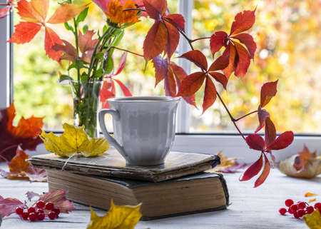 tea with book.の写真素材