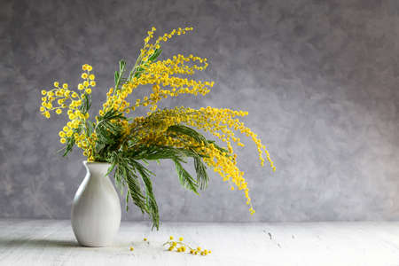 Image with mimosa.の写真素材