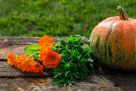 Pumpkin, parsley and marigold bouquet on an old wooden table. Copy space.の写真素材