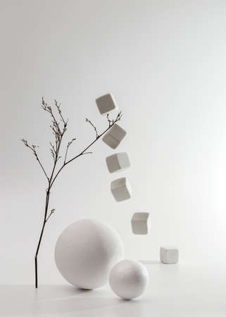 Minimalistic monochrome still life composition. Copy space, abstract modern art design conceptの写真素材