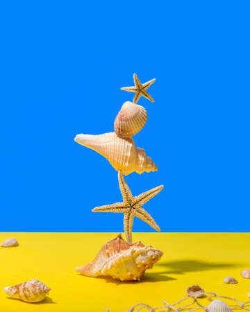 Image with seashells.