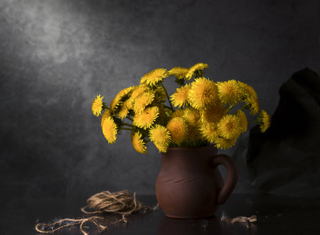 Still life with yellow dandelions in a clay jug, against a dark background.の写真素材