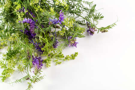 A bouquet of wildflowers on a light background. Copy space for text.の写真素材