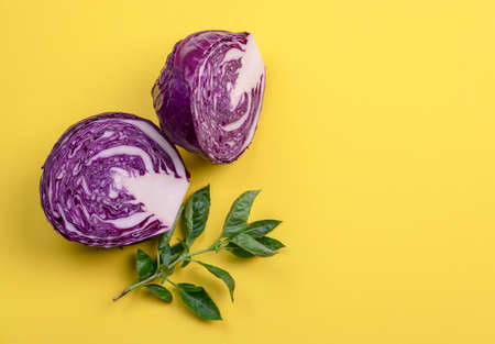 Red cabbage and basil on a yellow background. Copy space.の写真素材