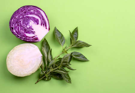Red and white cabbage and basil on a green background. Copy space.の写真素材
