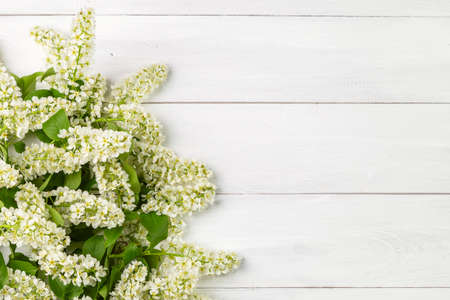 Bouquet of bird cherry on a light wooden background. copyspace.