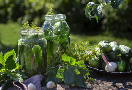 Preparing for pickling and preserving cucumbers in a jar on an old wooden table in the garden. Summer, sunny day. Cucumbers, herbs, dill, garlic. country style.の写真素材