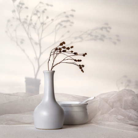 Modern still life scene with dry branch and ceramic vase on white background. background in sunlight.の写真素材