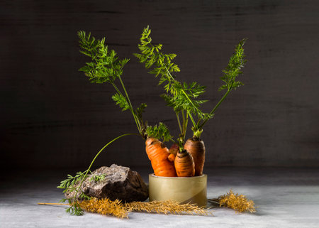 Modern still life with fresh carrots, stone and tape.の写真素材