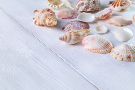 Composition of seashells on a light wooden background. Summer minimal concept.