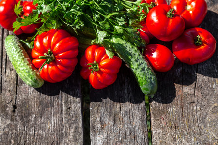 Fresh tomatoes, cucumbers and parsley on an old wooden table. Summer harvest in the garden.の写真素材