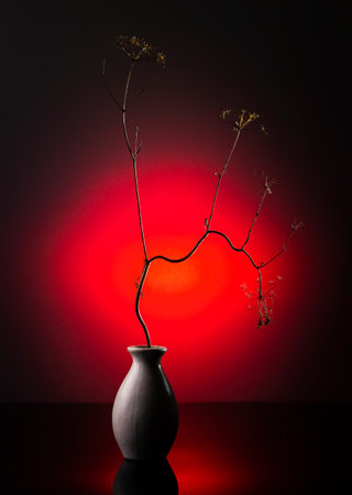 Modern still life with a dry branch in a vase on a bright background.の写真素材