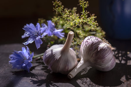 Still life with a bouquet of wild flowers and garlic.の写真素材