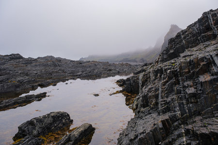 Russia, Murmansk region, Rybachy Peninsula. Cape Kekursky, Barents Sea. August 2025.の写真素材