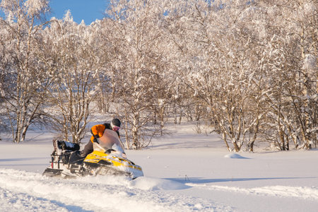 Athlete on a snowmobile moving in the winter forest in the mountains.