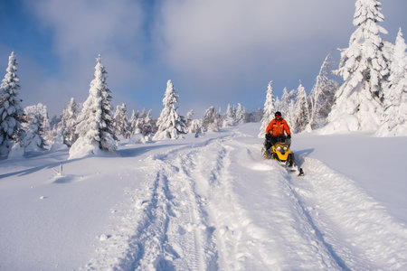 Athlete on a snowmobile moving in the winter forest in the mountains.