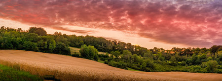 Panoramic view of a wheat field in the countryside at sunsetの写真素材