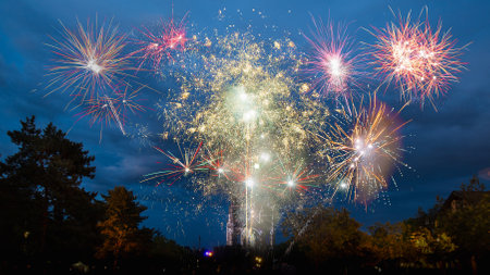 Colorful fireworks of various colors over night sky and silhouette of treesの写真素材