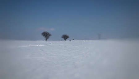 Take a tour of nature during the winter season of Turkey.の写真素材