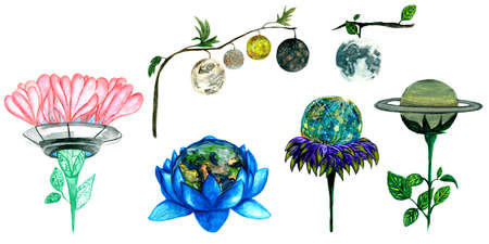 Watercolor fantasy collection of flowers, planets and satellite on white background illustration isolated for your space designの写真素材