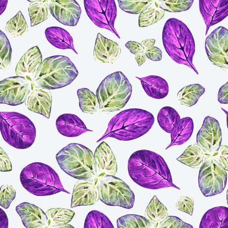 Watercolor pattern fresh purple basil leaf on white background for your seamless design, hand drawn illustrationの写真素材