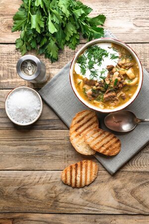 Homemade soup with porcini mushroom, sour cream and herbs on a light rustic background copy space top view.の写真素材