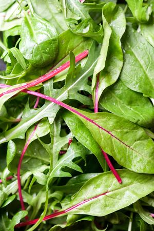 Mix of fresh lettuce leaves background. Close-up top view. Healthy vegan food.の写真素材