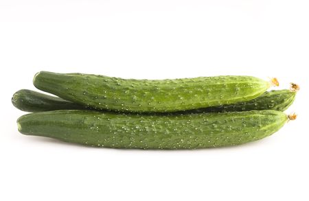Green cucumberの写真素材
